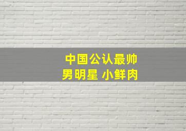 中国公认最帅男明星 小鲜肉